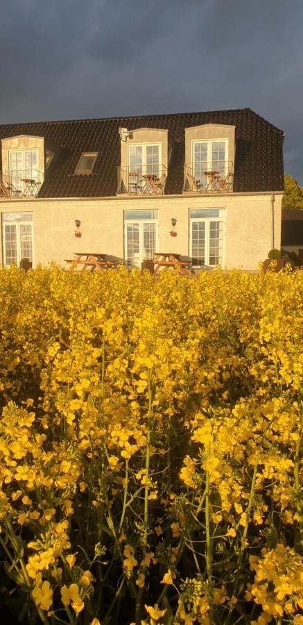 Roskilde B&B Gadstrup Dış mekan fotoğraf