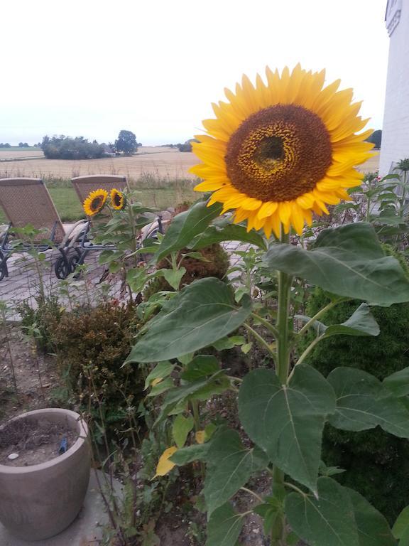 Roskilde B&B Gadstrup Dış mekan fotoğraf