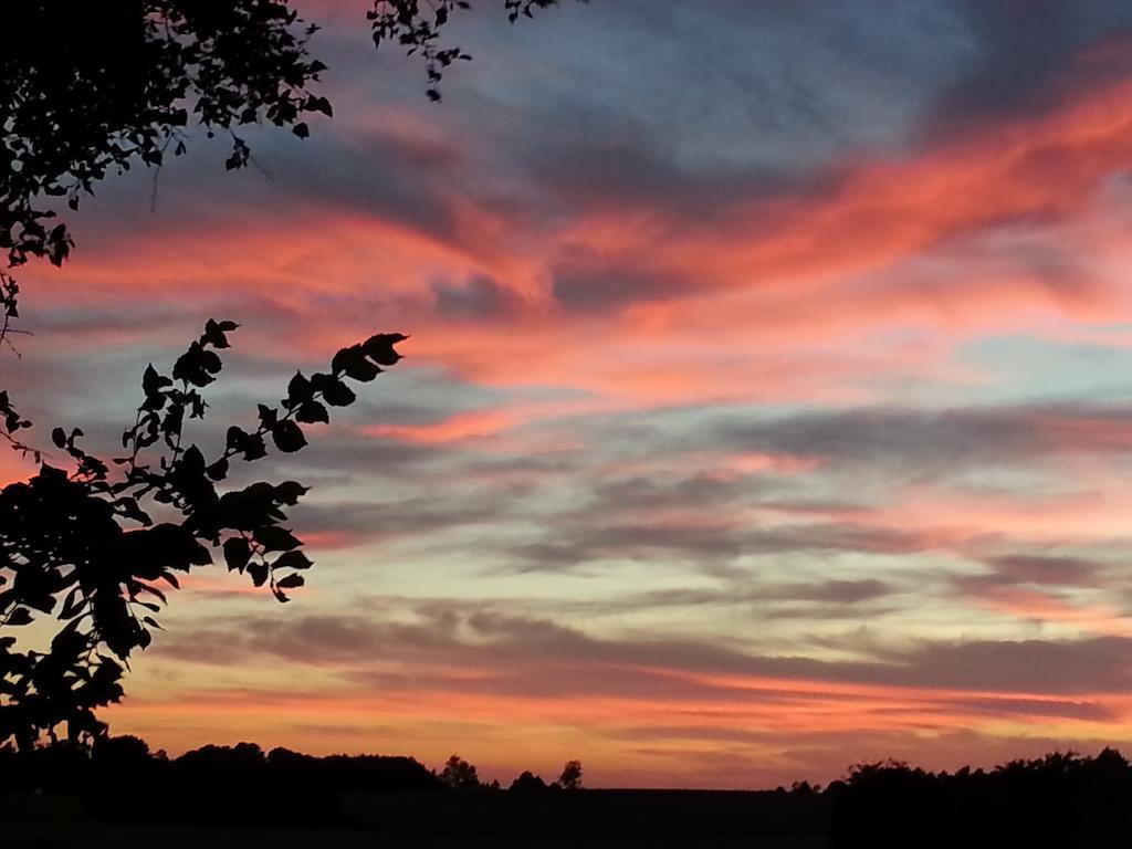 Roskilde B&B Gadstrup Dış mekan fotoğraf